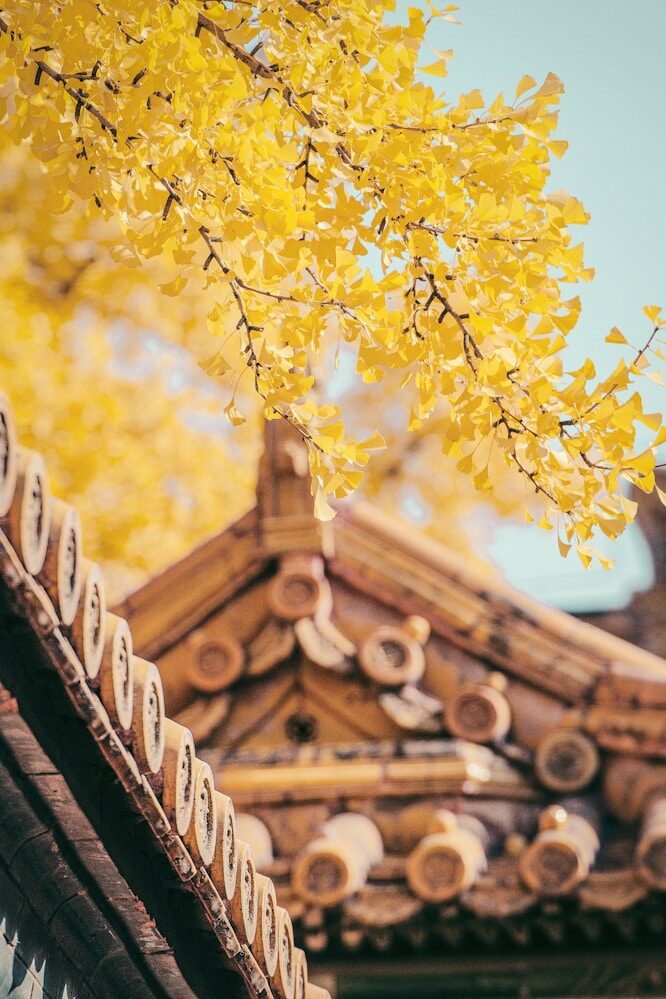 China, beyond the familiar