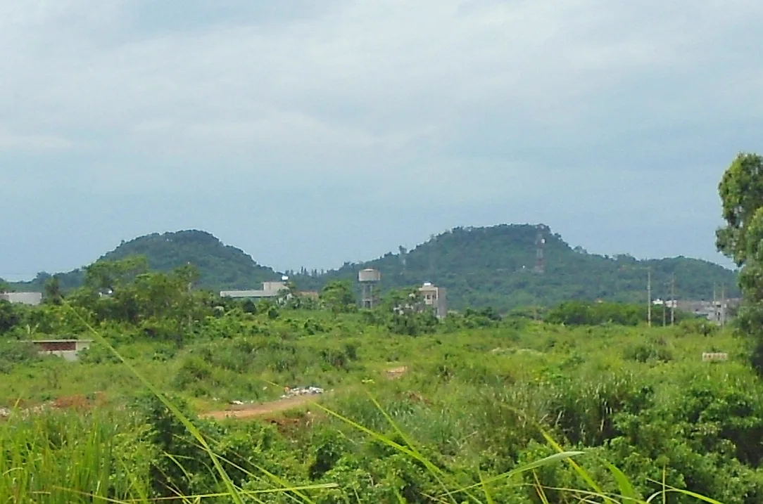 Tree-covered volcanic hills in the Leiqiong Haikou geopark landscape