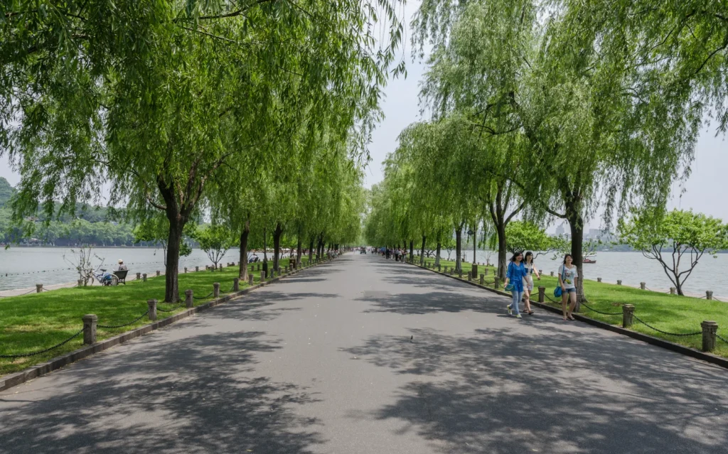 Willow-lined Su Causeway with West Lake on both sides in Hangzhou