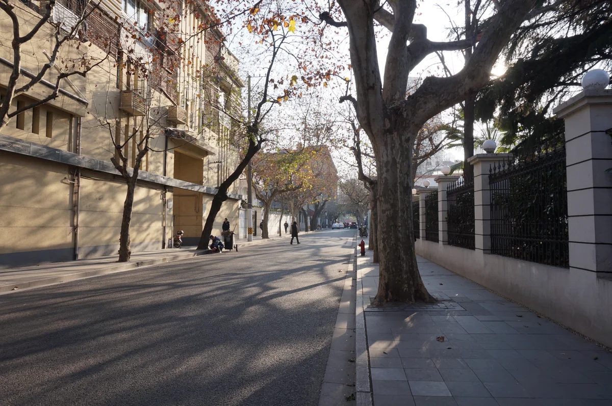 Tree-lined Wukang Road in Shanghai with long afternoon shadows on the pavement