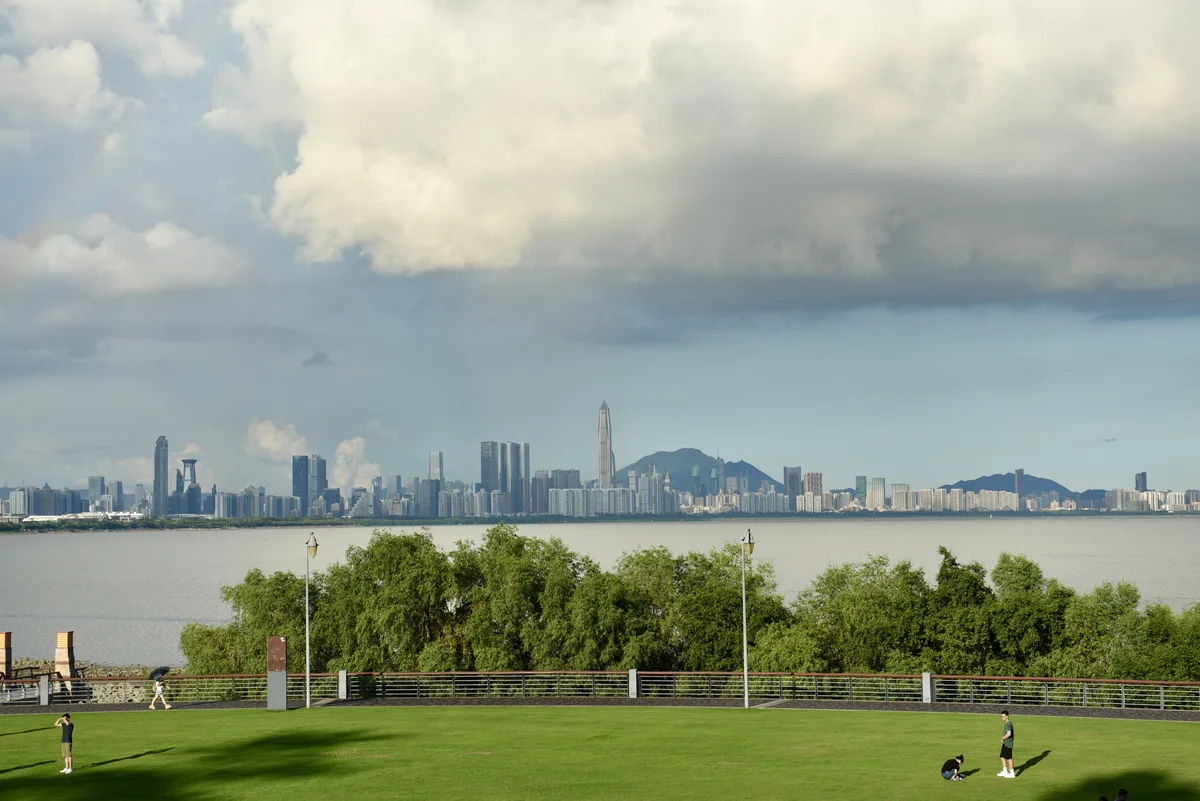 Green lawn at Shenzhen Bay Park looking across the water toward high-rises